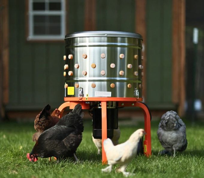 Free Range Farms